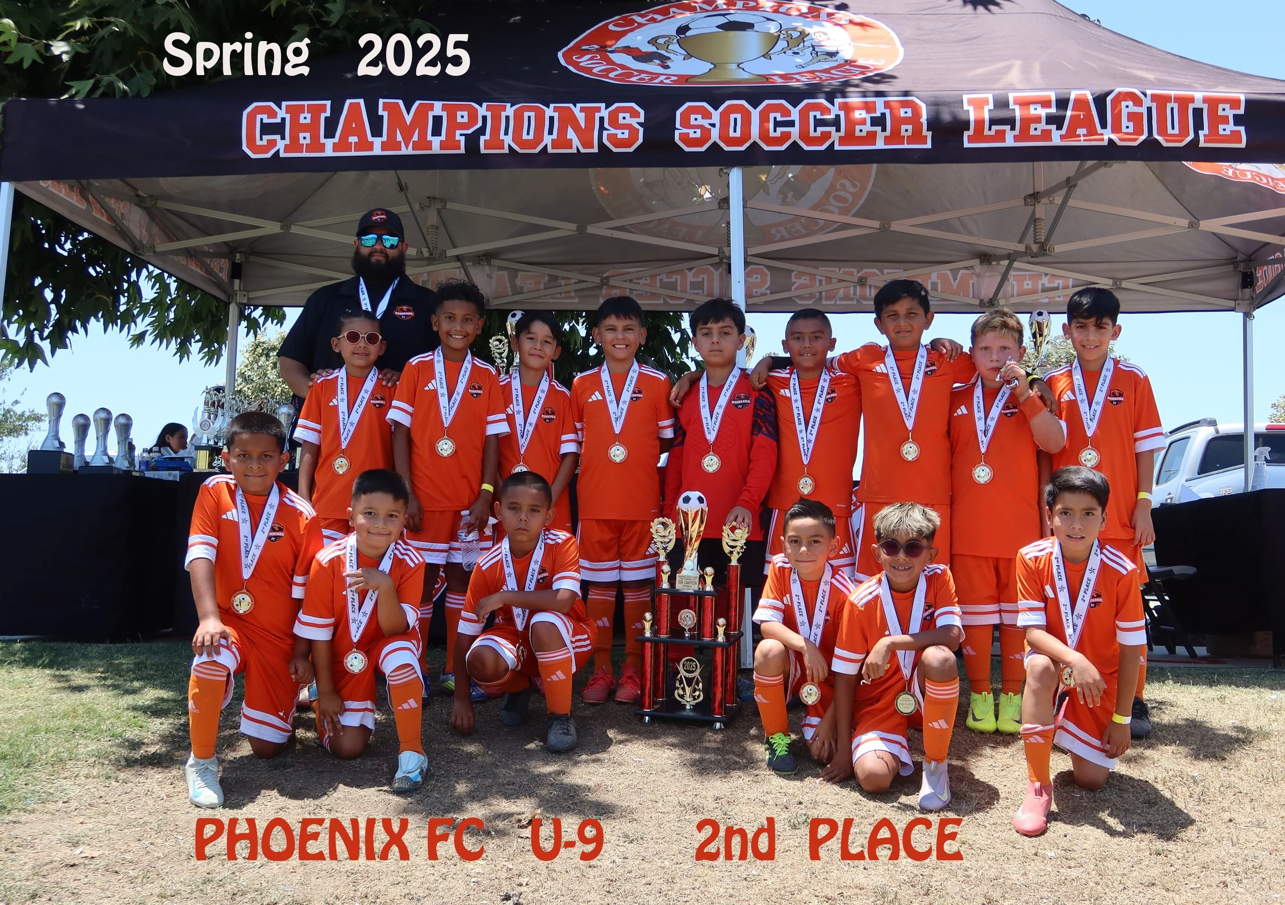 Sports League - Champions Soccer League